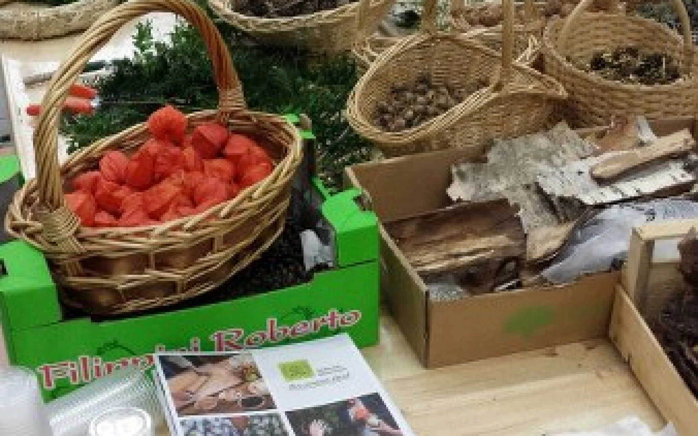 Maria Anna und Johanna Sterzing 1_338x600.jpg